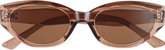 BP. 50mm Oval Sunglasses in Clear Brown at Nordstrom