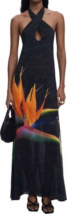 Desigual Colibri Dress In Black Hummingbird Print
