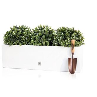 PRIMROSE 80 x 24cm Gloss Fibreglass Trough Planter in White | Size: 80 x 24 cm