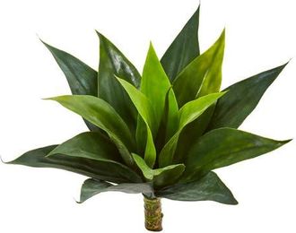 Nearly Natural 13-in Agave Succulent Artificial Plant in Green at Nordstrom