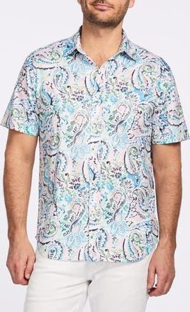 Robert Graham Floral Print Short Sleeve Cotton Button-Up Shirt in Blue Multi at Nordstrom Rack, Size Xx-Large