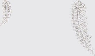 Swarovski Vienna Asymmetrical Rhodium-Plated Ear Cuff Earrings with Crystals