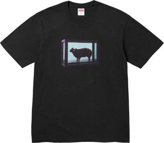 SUPREME x Damien Hirst T-Shirt Black SS25T5-BLACK