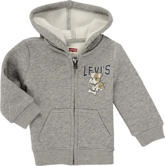 Levi's Kids Sweatshirts, male, Gray, 18 M, Green Herb Set