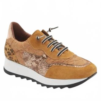 Cordani Womens Lizzie Fashion Sneaker In Brown
