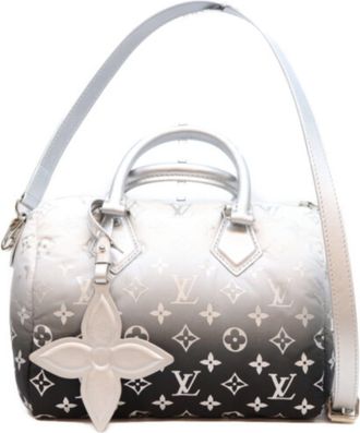 Louis Vuitton Silver Nylon Shoulder Bag (Pre-Owned)
