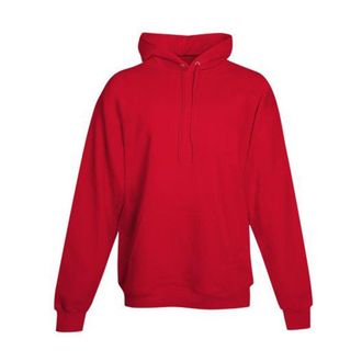 Hanes Ecosmart Hooded Sweatshirt