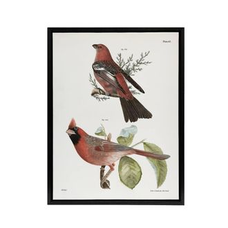 Artery8 James De Kay Pine Bulfinch & Cardinal Grosbeak Framed Canvas Art in White | Size: W24 x H32