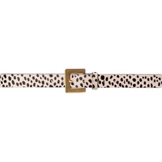 Black Suede Studio NOIR BELT in Dotted Cheetah at Nordstrom, Size Medium