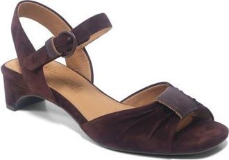 Gentle Souls Sorae Ankle Strap Sandal in Wine Suede at Nordstrom, Size 9.5