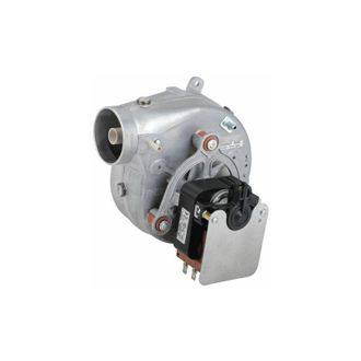 DIFF Eyewear Ventilatore Gr03970