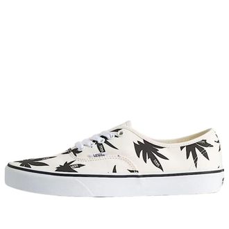 Vans Authentic Marshmallow White Black VN000Z75KIG