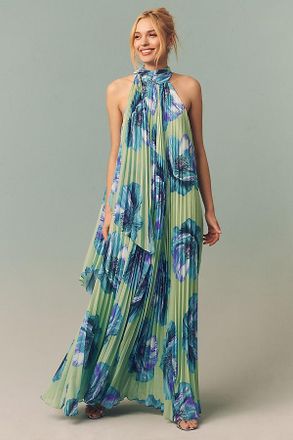 BHLDN Rosie Mock-Neck Pleated Chiffon Maxi Dress