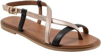 Bueno Harriot Ankle Strap Sandal in Black Multi at Nordstrom, Size 10.5-11Us