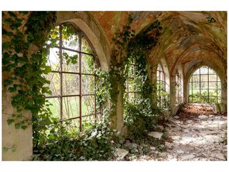 Schubiger M&ouml;bel Digitaldruck auf Glas &Uuml;berwucherter Verlassener Flur