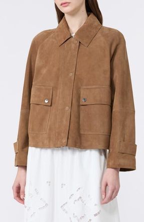 Max Mara Abito Suede Jacket in Hazelnut Brown at Nordstrom, Size 12