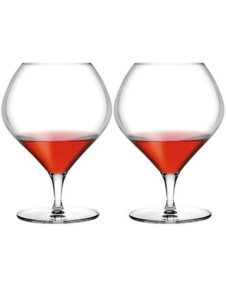 Nude Glass Set Of 2 Fantasy Cognac Glasses