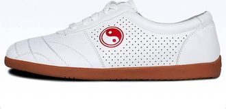 Generic Unisex Taekwondo Shoes, Martial Arts Sports Boxing Karate Taichi Lightweight for Kids Women Men Adult(5.5 UK) White