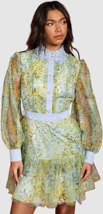 Coast Collared Mini Dress in Yellow at Nordstrom, Size 10