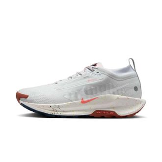 Nike Fitness, unisex, Grijs, 48 1/2 EU, Pegasus Trail 5 Gore-Tex