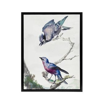 Artery8 Blue Jay & a Purple Breasted Cotinga Schouman Framed Canvas Wall Art in White | Size: W24 x H32