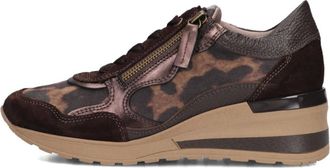 DL Sport Schoenen, Dames, Veelkleurig, 40 EU, Lage Sneakers