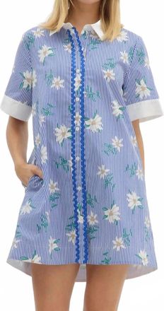 Entro Striped Floral Print Shirt Mini Dress In Blue