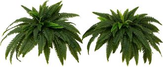 Nearly Natural 48-in UV Resistant Artificial Boston Fern (Indoor/Outdoor) - Set of 2 in Green at Nordstrom