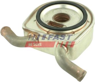 OEM Enfriador De Aceite Ft55401 R&aacute;pido