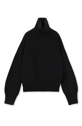 Fortela Lucy High Neck Sweater in Black at Nordstrom, Size X-Small Eu