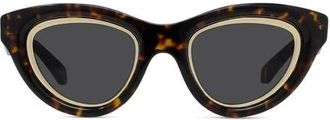 Loewe Anagram 53mm Cat Eye Sunglasses in Dark Havana /Smoke at Nordstrom