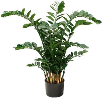 Baq Lebensechte Kunstpflanze Zamioculcas Zamiifolia &oslash; 110/ H&ouml;he 115 cm
