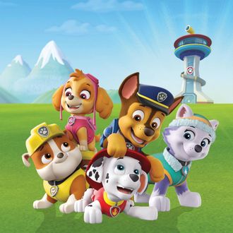 Bönninghoff Leinwandbild »Paw Patrol« Filmfiguren 1 Stk. tlg. BxH: 35x35 cm