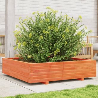Berkfield Home Garden Planter Wax Brown 100x100x26.5 cm Solid Wood Pine