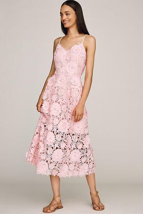 endless rose Lace Midi Dress