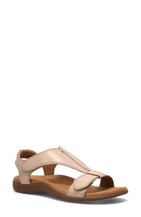 Taos The Show Sandal in Stone at Nordstrom, Size 11