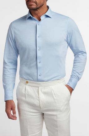 David Donahue Cotton Knit Sport Shirt in Sky at Nordstrom, Size Xx-Large