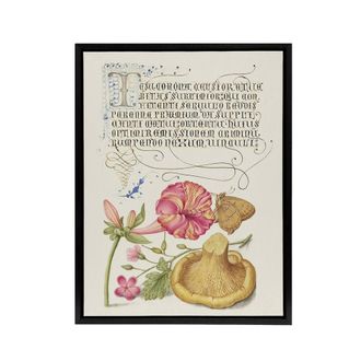 Artery8 Flowers Mushroom & Butterfly Calligraphy Framed Canvas Wall Art in White | Size: W24 x H32