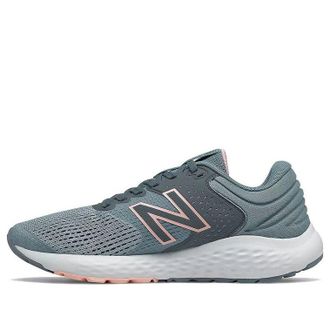New Balance (WMNS) New Balance 520 V7 Grey Silver W520LP7
