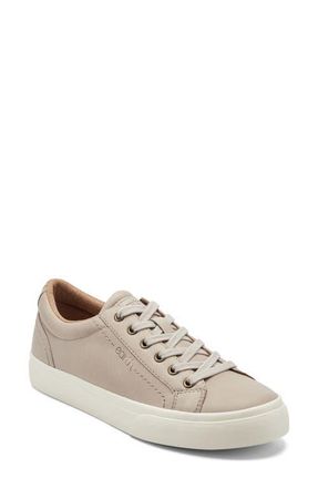 Earth Dailey Sneaker in Light Grey at Nordstrom, Size 8.5