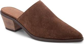 Chocolat Blu Cellia Pointed Toe Mule in Chocolate at Nordstrom, Size 8.5