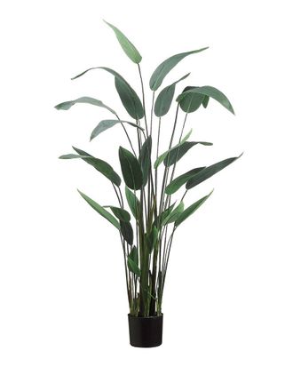 Creative Displays Inc. 65In Water Canna Plant With Plastic Filler