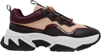 Steve Madden Android-sportschoenen met veters voor dames (Bruin/Wijnrood)