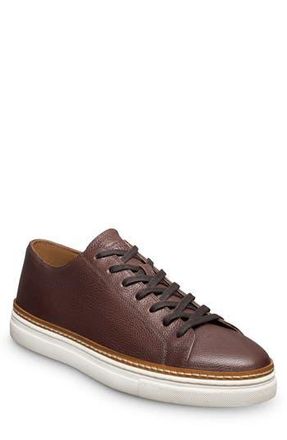Allen Edmonds Percy Low Top Sneaker in Dark Brown at Nordstrom Rack, Size 10