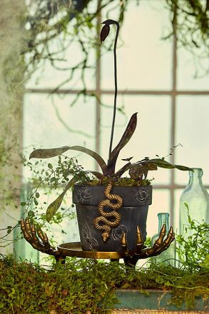 Terrain Brass Skeleton Hand Plant Stand