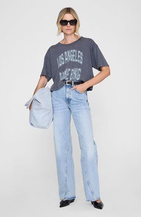 Anine Bing Johnny Cropped Tee in Washed Grey at Nordstrom, Size X-Small
