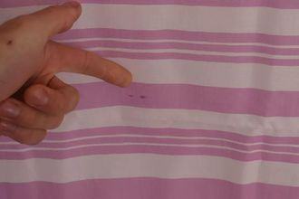 Dolce & Gabbana Pink White Striped Cotton Wrap Shawl Womens Scarf (Pre-Owned)