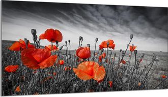 OEM Placa Protectora De Vidrio Para La Estufa 90x52 Maki