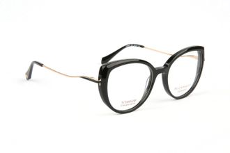 Ana Hickmann Optical Frame HI6334T A01 51 Titanium