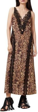 AllSaints Melia Lace Trim Slipdress in Evia Golden Brown at Nordstrom Rack, Size 4